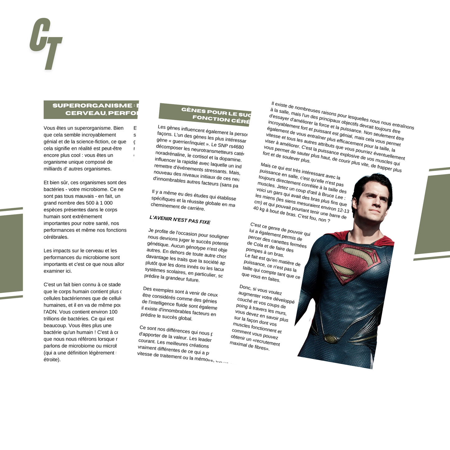 SUPERMAN PROGRAM™️