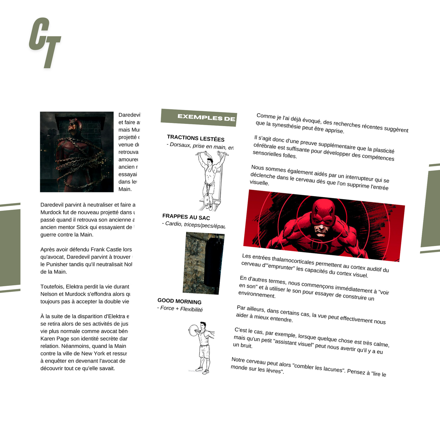 DAREDEVIL PROGRAM ™️