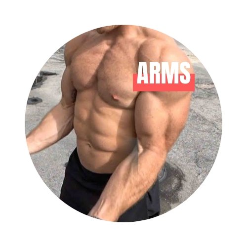 10 exercices au poids de corps pour vos biceps | Charlie Tango Fitness